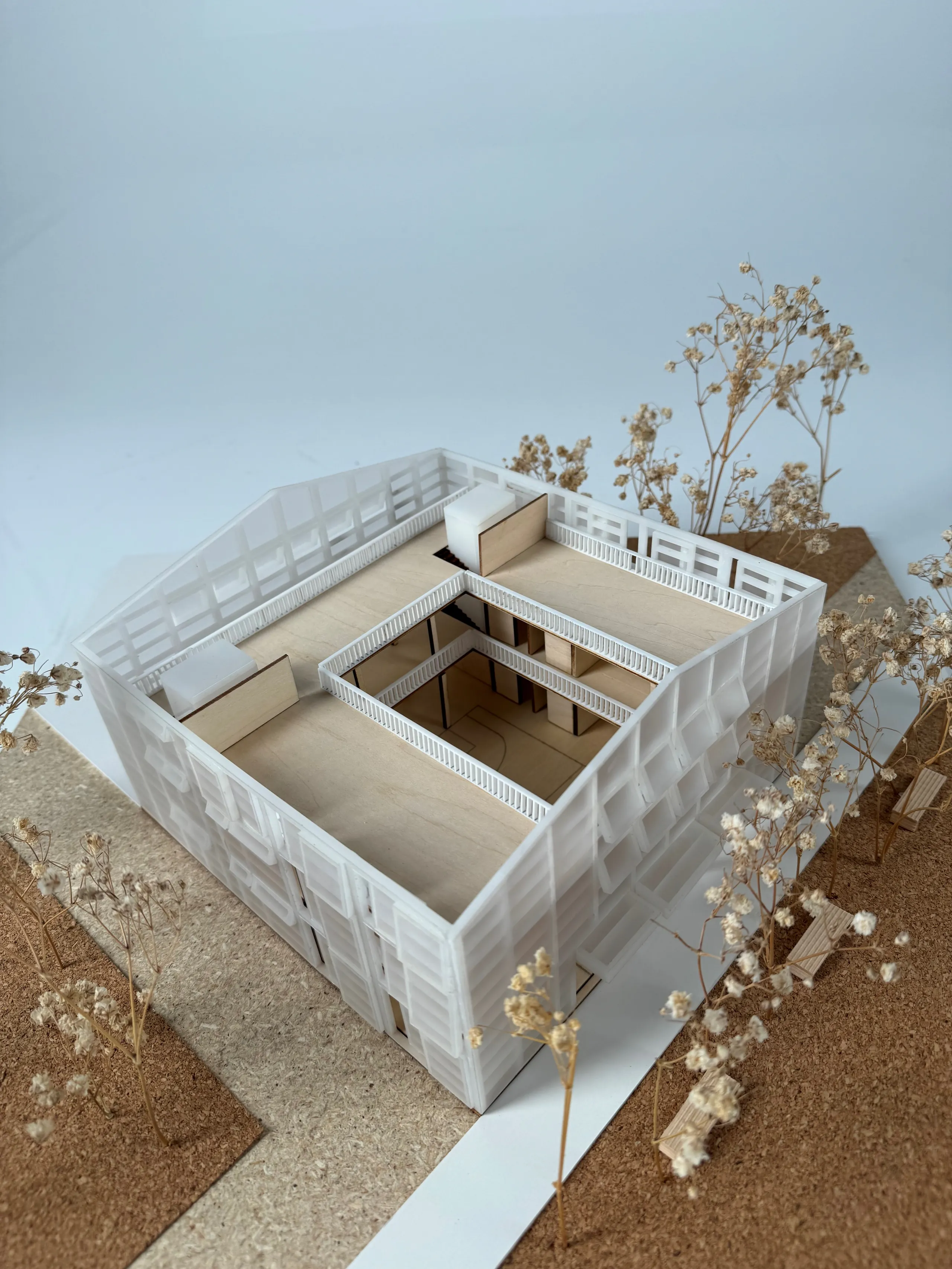 Studio 5: Kinaesthetic School — PLAN MODEL